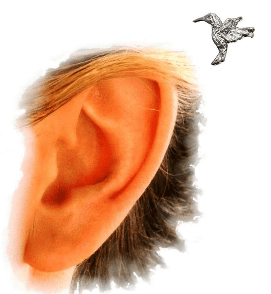 Hummingbird Ear Cuff Wrap