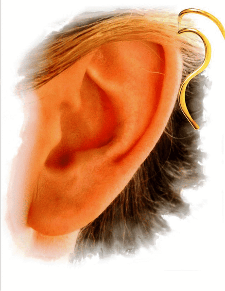 Southwest Leaves and Cubic Zirconia Long Wave Ear Cuff